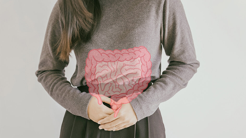 Healthy gut – What exactly is “gut health”?