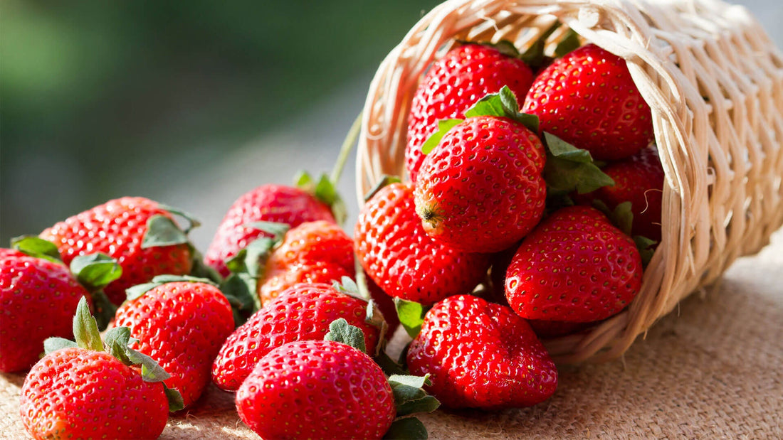 healthy strawberries in a basket