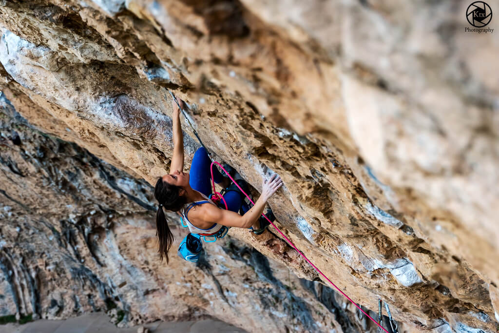 Proteins are an important companion during sports