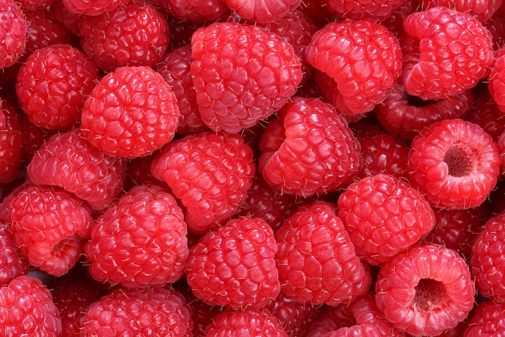 Close up of fresh, ripe raspberries showing their bright red color and detailed texture.