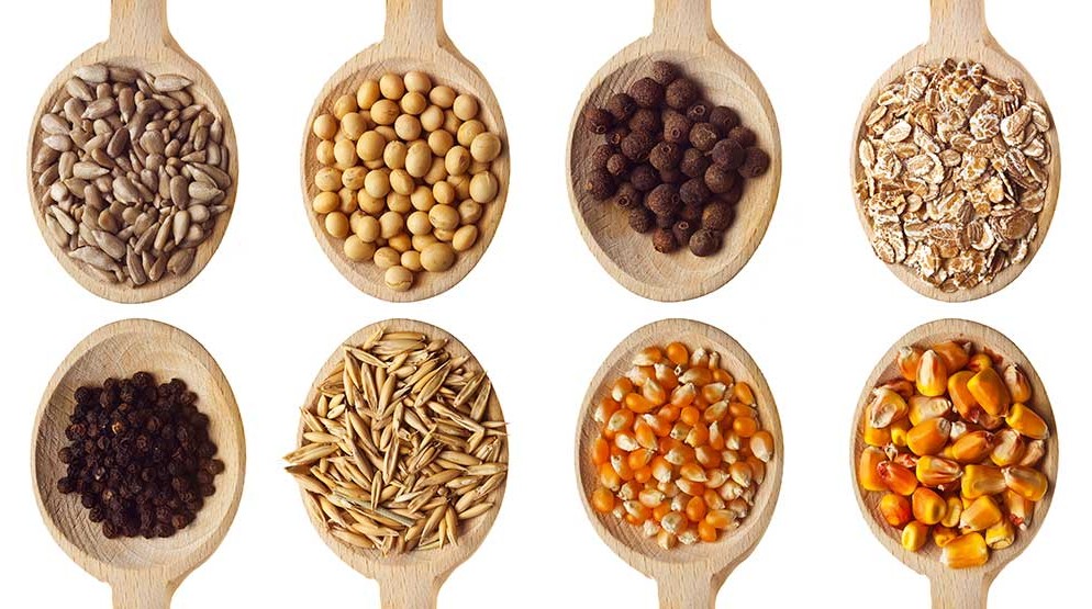 Ingredients for your DIY plant drink: seeds, nuts, grains and legumes © AND SOY