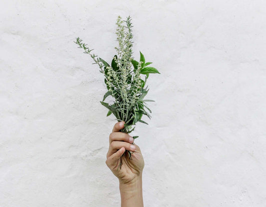 Hand with Ayurvedic spices